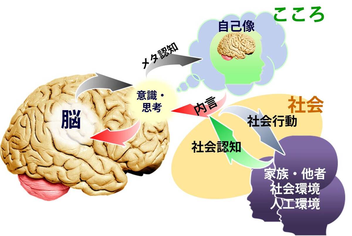ユースメンタルヘルス