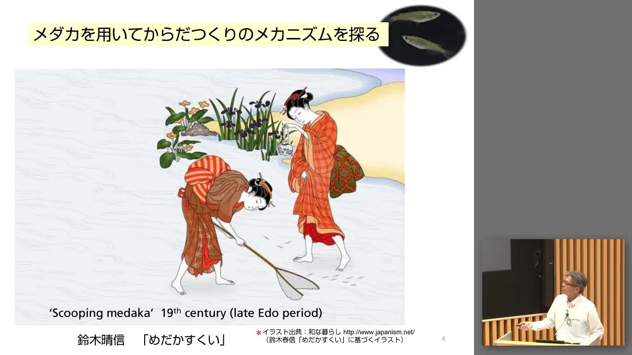 多様な形を創出する発生のモジュール性