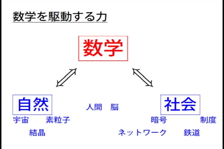 数学の形