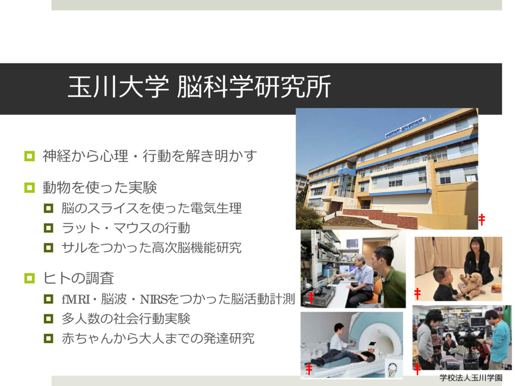情報と経済 (2)