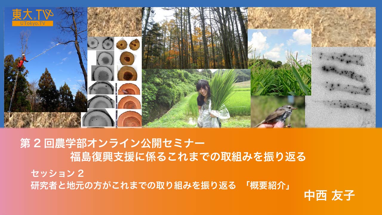 概要