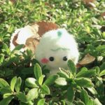 だいふくちゃんの冒険